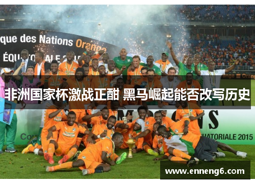 非洲国家杯激战正酣 黑马崛起能否改写历史