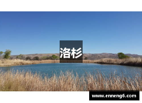 洛杉