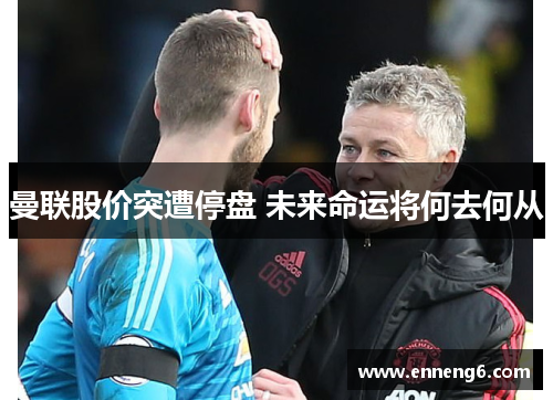 曼联股价突遭停盘 未来命运将何去何从